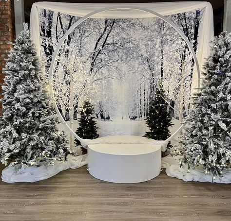 Christmas Decor Photo Booth, Snow Backdrop Diy, Elegant Winter Wonderland Party, Winter Photo Booth Backdrop, Snow Christmas Party Theme, Snowball Christmas Decor, Diy Christmas Backdrops For Photos, Winter Wonderland Entrance Ideas, Snowglobe Party Theme