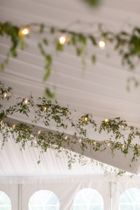 Tent Wedding Ceiling Decor, Outdoor Tent Wedding Reception Simple, Tent Greenery, Dark Enchanted Forest, Wedding Tent Lighting, Enchanted Forest Decor, Unique Outdoor Wedding, Backyard Tent Wedding, Playground Party