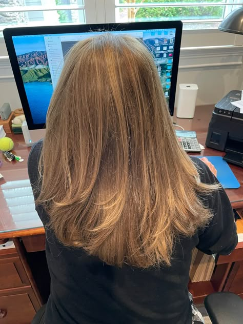 Upper Back Hair Length, Thick Hair Thinned Out Before And After, Straight Hair Layers Medium Mid Length, Hair Inspo Straight Medium, Mid Layers Haircut, Straight Mid Length Hair With Layers, Long Subtle Layers, Mid Length Straight Hair With Layers, Unstyled Haircuts