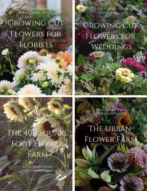 Cut Flower Business, Hardy Annuals, Growing Cut Flowers, Icelandic Poppies, Flower Farming, Cut Flower Farm, Globe Amaranth, Farm Business, Flower Business