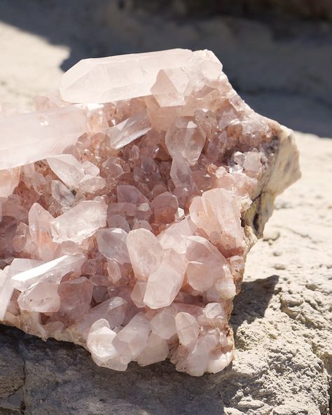 Huge Pink Himalayan Quartz– Echoz Crystals Crystal Core, Studio Vibes, Summer Candy, Rose Quartz Color, Himalayan Mountains, Spiritual Things, Wellness Studio, Himalayan Quartz, Unique Composition