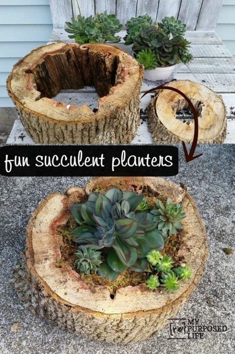 Sheet Moss, Succulent Planter Diy, نباتات منزلية, Succulent Planters, Aquaponics System, Tree Stump, Cactus Y Suculentas, Diy Planters, Succulent Plants