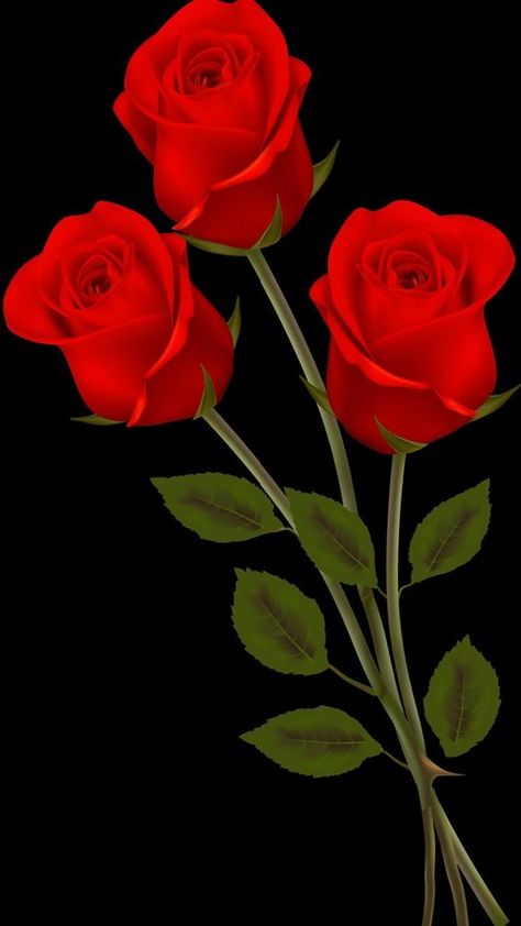 Rose Flower Png, Rose Flower Photos, Love Rose Flower, Red Roses Wallpaper, Pink Flowers Wallpaper, Roses Art, Rose Flower Pictures, Beautiful Flowers Images, Rose Flower Wallpaper