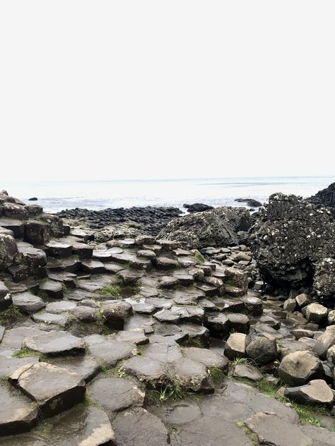 Giants Causeway Giants Causeway, Tattoos