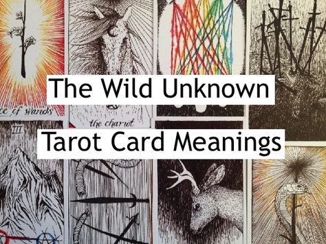 Unofficial card meanings for every card in the Wild Unknown Tarot: www.carriemallon.com/blog/the-wild-unknown-tarot-card-meanings/ The Wild Unknown Tarot, Wild Unknown Tarot, Types Of Reading, Card Meanings, Tarot Cards For Beginners, Learning Tarot Cards, Tarot Tips, Tarot Meanings, Tarot Astrology