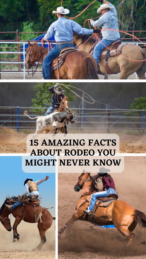 it’s a fun and competitive sporting event that’s ingrained in their culture. Therefore, to know more about this sport, we will reveal some interesting facts about rodeo you probably didn’t know. #awesomefacts #awesomefactsunbelievable #awesomefactsmindblowing #awesomefactsforkids #doyouknowfactsawesome #unbelievablefactsmindblowingawesome Rodeo Pictures, Miss Rodeo America, Saddle Bronc Riding, Pbr Bull Riders, Cheyenne Frontier Days, Bareback Riding, Saddle Bronc, Dangerous Sports, Bronc Riding