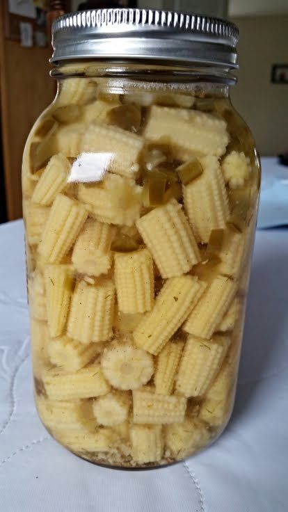 Pickled Baby Corn! "Excellent flavor and crunch, a keeper for sure." @allthecooks #recipe Pickled Baby Corn Recipe, Baby Corn Recipe, Pickled Corn, Pickles Recipes, Pickled Recipes, Sweet Corn Recipes, Pickled Foods, Easy Canning, Baby Corn