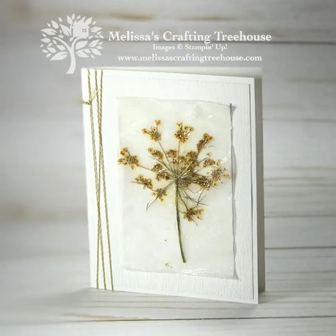 How to Make Cards with Pressed Flowers - Melissa's Crafting Treehouse Pressed Flower Cards, How To Make Cards, How To Make Greetings, Pressed Flowers Diy, Crafting Techniques, Pressed Botanicals, Fern Leaves, Leaf Cards, Make Cards