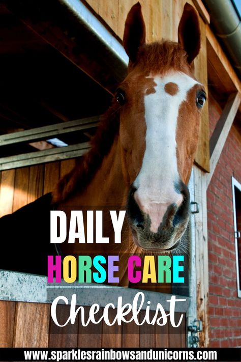 Use this daily horse care checklist to make caring for your horse easier. Get done with chores faster, and don't forget a thing. This is a complete list of what you want to do everyday for your horses. You can sign up for my Free Resource Library and find the Printable Daily Horse Care Checklist. #horsecare #dailyhorsecare #owningahorse #horseownership #horsemanagement #caringforhorses #takingcareofahorse Horses Foals, Horse Ownership, Horse Information, Healthy Horses, Horse Care Tips, Horse Facts, Horse Info, Horse Riding Tips, Horse Training Tips