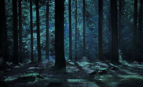 The Woods At Night, Woods At Night, 숲 사진, Tipografi 3d, Futurisme Retro, Forest Background, Night Background, Night Forest, Aesthetic Board