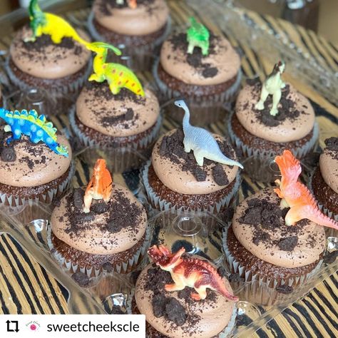 3rd Dinosaur Birthday Cake, Dino Birthday Party Cake, Dinosaur Cake Cupcakes, Dinosaur Cake And Cupcakes, Dinosaur Birthday Snacks, Three Rex Birthday Cupcakes, Dinosaur Birthday Treats For School, 3 Rex Cupcakes, Dinosaur Birthday Party Desserts