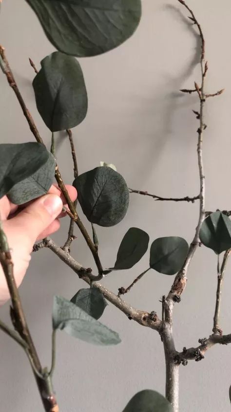 How to make a DIY Faux Eucalyptus Tree | Hometalk Faux Eucalyptus Tree, Faux Olive Trees, Easter Topiary, Moss Wreath Diy, Diy Eucalyptus, Diy Magazine Holder, Rainbow Eucalyptus Tree, Faux Trees, Rainbow Eucalyptus