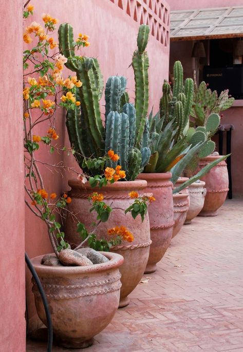 Tucson Garden, Style Hacienda, Succulent Landscape, Desert Backyard, Mexican Garden, Sky Ranch, Side Porch, Desert Garden, Open Sky