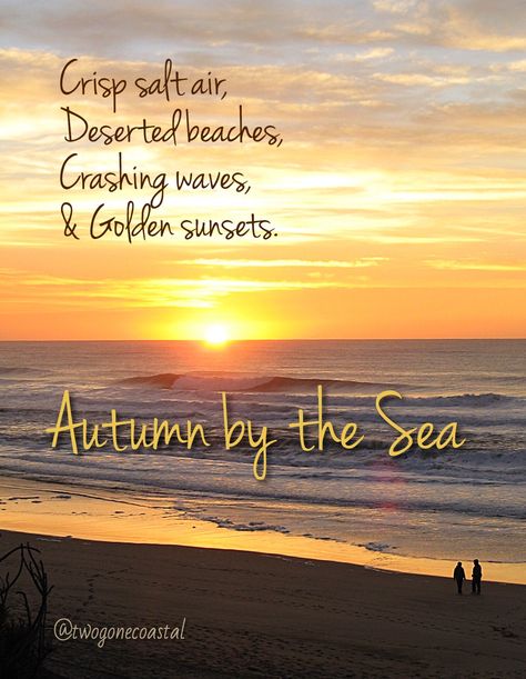 Autumn by the Sea Beach Quotes And Sayings, Fall Beach Wedding, Fall Beach, Ocean Quotes, I Love The Beach, Crashing Waves, Beach Quotes, Sunset Quotes, Salt Life