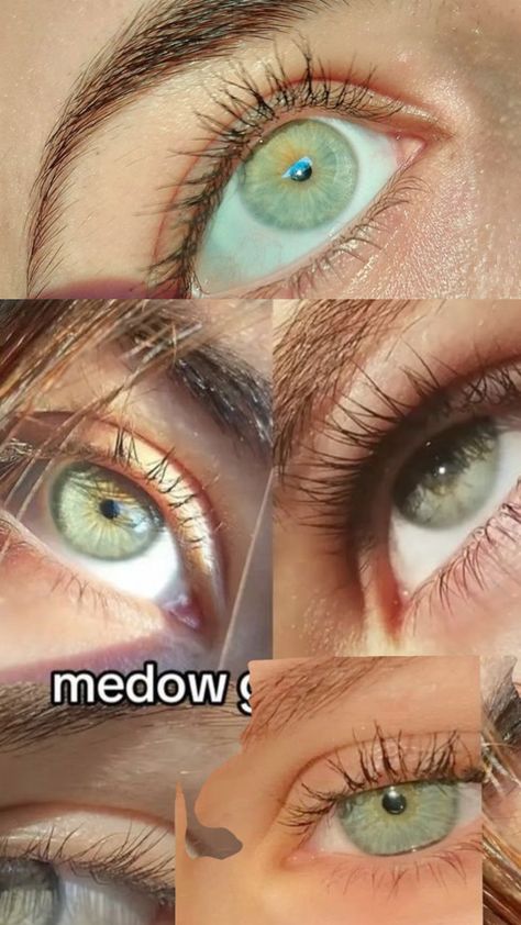 Mint Green Eyes, Pretty Eyes Color, My Dream Boyfriend, Rick And Daryl, Rare Eye Colors, Dark Green Eyes, Shifting Face, Eyes Don't Lie, The Eyes Chico