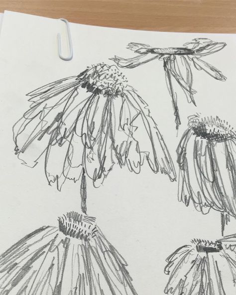 iss🌟 on Instagram: flowers in sandford park🌸💐 pencil  drawing scribble abstract flowers art alevel a level textiles art Scribble Art Flowers, Scribble Journal, Flower Scribble, Scribbling Art, Scribble Flowers, Drawing Scribble, Drawings Inspo, Alevel Art, Fast Drawing