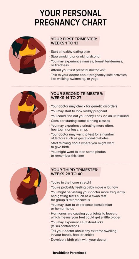 Pregnancy Chart: What to Expect Each Trimester Pregnant Trimester Chart, What To Expect When Your Expecting, Pregnancy By Month, 1st Trimester Pregnancy Food, Pregnancy Trimester Chart, Trimester Chart, Pregnancy Diet Chart, Pregnancy Trimesters, 1st Trimester Pregnancy