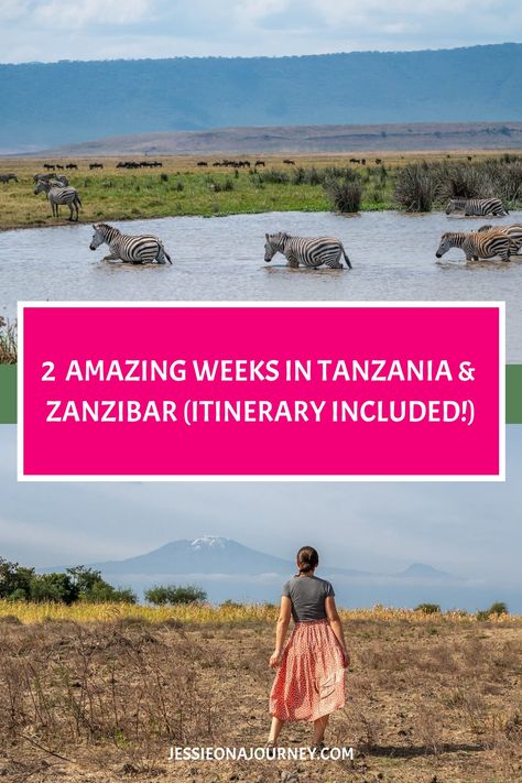 Pinterest pin that shows a woman in an African safari and another photo of zebras in a lake. Safari In Tanzania, Zanzibar Itinerary, Beach Relaxation, Africa Itinerary, Ngorongoro Crater, Africa Travel Guide, Tanzania Travel, Serengeti National Park, Africa Destinations