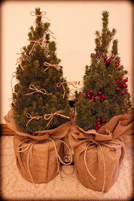 Burlap Christmas Tree, Tree Inspiration, Christmas Pots, Christmas Plants, Country Christmas Decorations, Burlap Crafts, Burlap Christmas, Mini Christmas Tree, Miniature Christmas