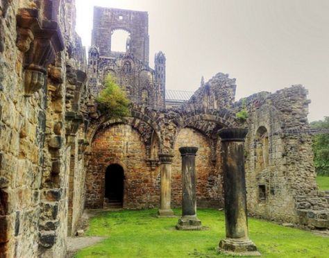 (21) Tracy Hogan on Twitter: "Kirkstall Abbey. Leeds, England. https://t.co/8tNfqclZd4" / Twitter Kirkstall Abbey, Leeds England, Yorkshire England, The Ruins, West Yorkshire, Historical Place, Leeds, The Wind, Yorkshire