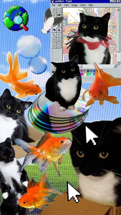 Meme Cat Wallpaper Phone, Gnarly Wallpaper, Silly Cats Wallpaper, Phone Backgrounds Cat, Cute Fish Wallpaper, Funny Cat Background, Silly Cat Wallpaper, Fishes Wallpaper, Wallpaper Silly