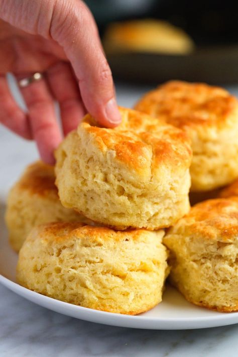 These are the most delicious, fluffy homemade biscuits we’ve ever made! Our quick and easy biscuit recipe calls for milk or buttermilk and makes the best tall and […] Biscuits Made With Butter And Milk, Big Fluffy Biscuits, No Buttermilk Biscuits, Dinner Biscuits Recipes, 7 Ip Biscuits, Easy Fluffy Biscuits, Buttery Biscuit Recipe, Biscuit Recipe With Milk, Sheet Biscuits