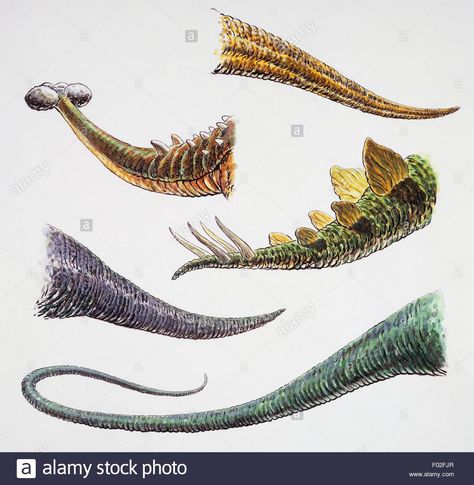 Dinosaur Tails. Artwork By Mike Dorey Stock Photo, Royalty Free Image: 86108031 - Alamy Dino Tails, Dinosaur Tails, Monster Mash, Inspiration Board, Free Image, Dinosaurs, Royalty Free Images, Concept Art, Royalty