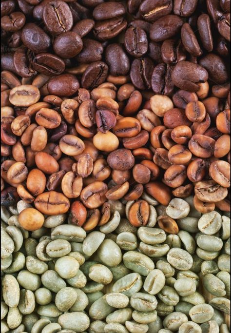 Coffee Beans Photography, Coffee Bean Shop, Coffee Process, Retro Cafe, Coffee Farm, Coffee Shop Aesthetic, Coffee Plant, Coffee Photos, Coffee Photography