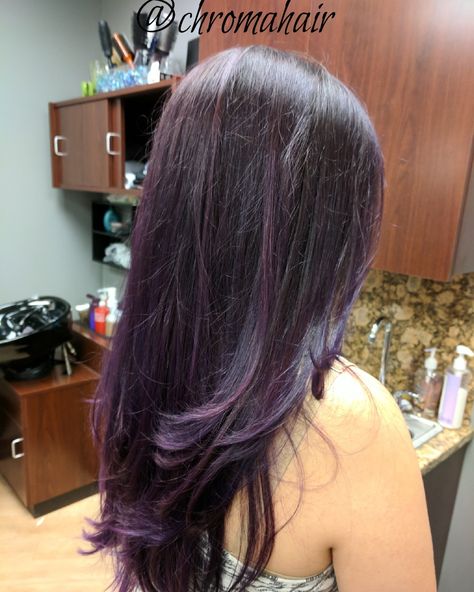 Black Hair With Light Purple Highlights, Brown Hair With Purple Lowlights, Purple Skunk Highlights, Grape Color Hair, Dark Brown Hair With Hints Of Purple, Brunette Purple Highlights, Hair Color Purple Highlights, Dark Violet Highlights On Black Hair, Natural Purple Hair