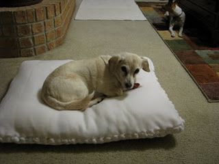 We're doing fleece blankets for the local animal shelter with girl scouts. Here's another great idea that's fringeless. No Sew Dog Bed, Sew Dog Bed, Diy Dog Blankets, Diy Dog Bed Pillow, Fleece Pet Bed, Floor Pillows Kids, Fleece Dog Bed, Diy Pet Bed, No Sew Fleece Blanket