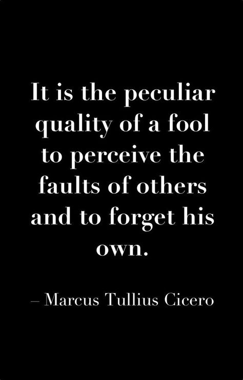 This Infinite Paradox Fool Quotes, Ancient Philosophy, Socrates, Hot Mess, Quotable Quotes, True Words, Note To Self, Good Advice, Great Quotes