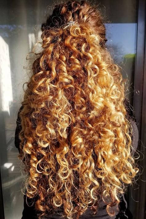 Very Long Curly Hair, Curly Hair Half Up Half Down, Super Curly Hair, Long Natural Curly Hair, Curly Hair Long, Half Up Half Down Hairstyle, Curly Blonde Hair, Down Hairstyle, Highlights Curly Hair