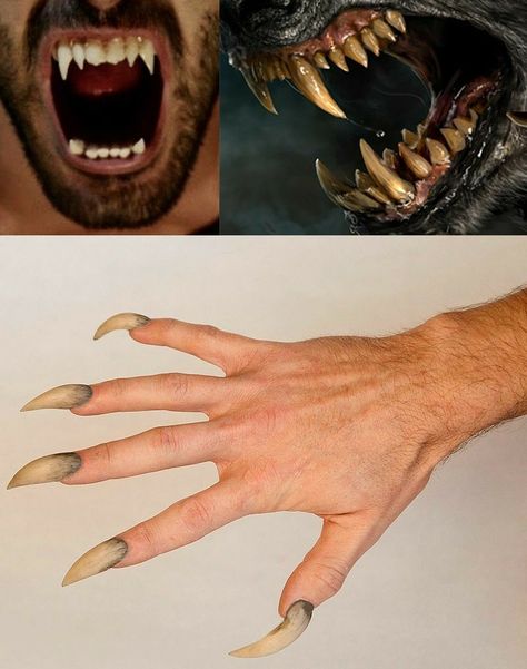 Werewolf Cosplay, Werewolf Teeth, Werewolf Fangs, Werewolf Transformation, Wolf Makeup, Teenage Halloween Costumes, Werewolf Costume, Beast Creature, Werewolf Art