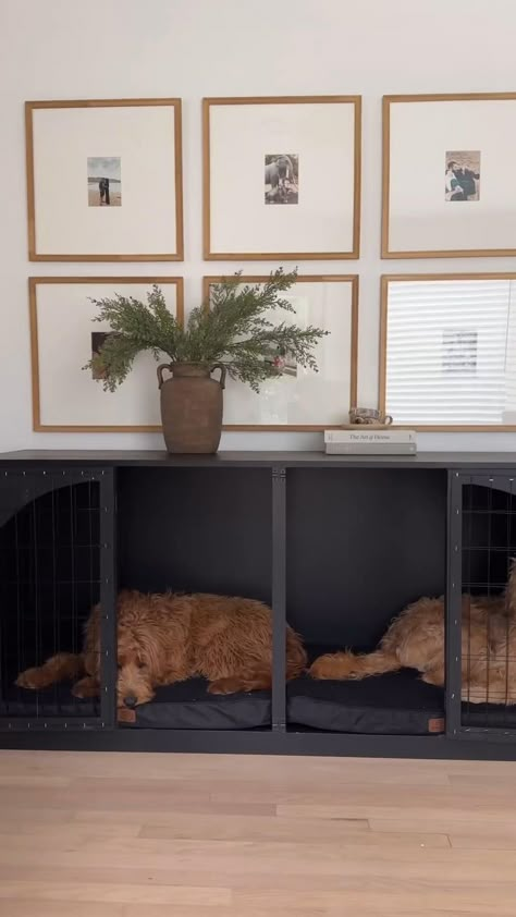 Dog Bed Organization, Under Steps Dog Kennel, Incorporating Dog Beds In Living Room, Bedroom With Dog Space, Dog Crate Behind Couch, Guest Bedroom Dog Room, Building Dog Crate Furniture, Built Ins With Dog Crate, Dog Bed Area Living Room