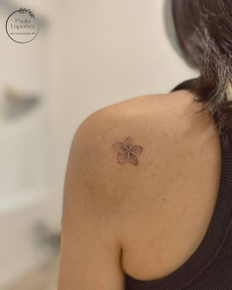 Small Flower Tattoo On Shoulder, Small Dainty Shoulder Tattoos, Kalachuchi Flower Tattoo, Plumeria Shoulder Tattoo, Colombian Flower Tattoo, Plumeria Alba Tattoo, Tiny Plumeria Tattoo, Small Tropical Flower Tattoo, Small Plumeria Tattoo