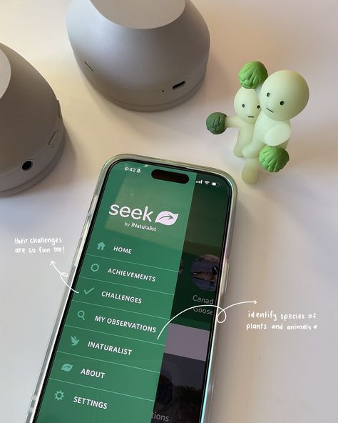 My irl Pokedex 🌱 The perfect summer app ⛅️ I love using the app @seekbyinat to help me identify species of plants and animals! You can take or upload a photo, and it’ll identify it for you 🌱 It’s not always perfect, but you can get an idea of what species you’re looking at 💭Do you prefer to be indoors or outdoors? 🥾 #mobileapps #cozygaming #studybreak #studyapp #studyaccount Aesthetic Apps Games, Must Have Apps, Suggested App, Ui Design Principles, Ipad Essentials, Ipad Hacks, Study Break, Exam Motivation, Iphone Wallpaper Hipster