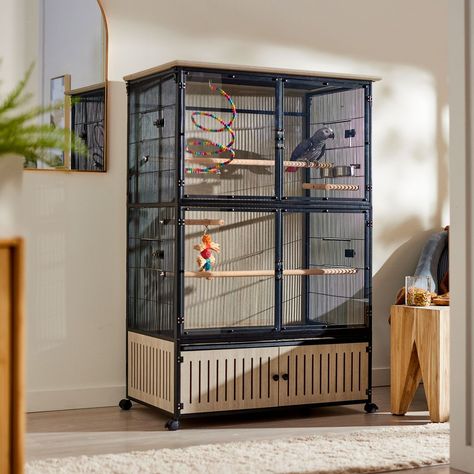 Parrot Cage Ideas Design, Parrotlet Cage Setup, Cockatiel Bird Cage Setup, Budgie Cage Setup Aesthetic, Bird Habitat, Grey Parrot Cage, Bird Cage Design, Pet Bird Aesthetic Cage, Pet Bird Cage