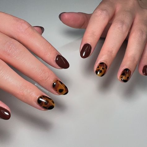 Fall Nail Trends: Tortie Nails ⚡️save for nail inspo I love tortoiseshell nails 🤩🐢 they’re never the same but also it’s such a unique and fun design I’ll never get tired of. #tortie #tortienails #fallnails #fallnailart #fallnailinspo #fallnaildesigns #brownnnails #gelpolishnails #gelpolishnailart #gelpolishdesign #gelpolishart Tortie Nails, Tortoiseshell Nails, Tortoise Nails, Gel Polish Designs, Black French Tips, Gel Polish Nail Art, Fall Nail Trends, Never The Same, Fall Nail Art