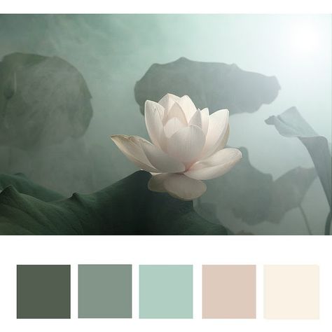 lotus pallette - living add tangerine and brown..... dining add green and cherry Lotus Flower Colors, Clinic Art, Bathroom Color Palette, Paint Color Schemes, Master Bed, Design Seeds, Lotus Flowers, Colour Board, Colorful Garden