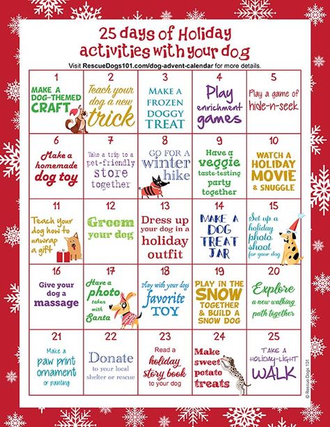 Dog Advent Calendar Ideas Diy, Dog Activity Jar Ideas, 2022 Advent Calendar, Dog Christmas Activities, Christmas Dog Ideas, Diy Dog Advent Calendar, Dog Advent Calendar Diy, Advent Calendar For Dogs Diy, Advent Calendar For Dogs