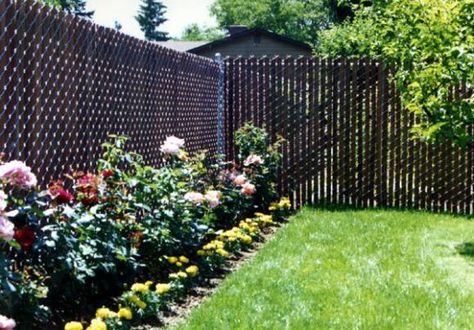 What To Do With A Chain Link Fence - A Storied Style Chain Link Fence Cover, Chain Link Fence Privacy, Black Chain Link Fence, Cyclone Fence, Chain Fence, Privacy Fence Designs, Cheap Fence, Garden Ideas Cheap, Garden Privacy