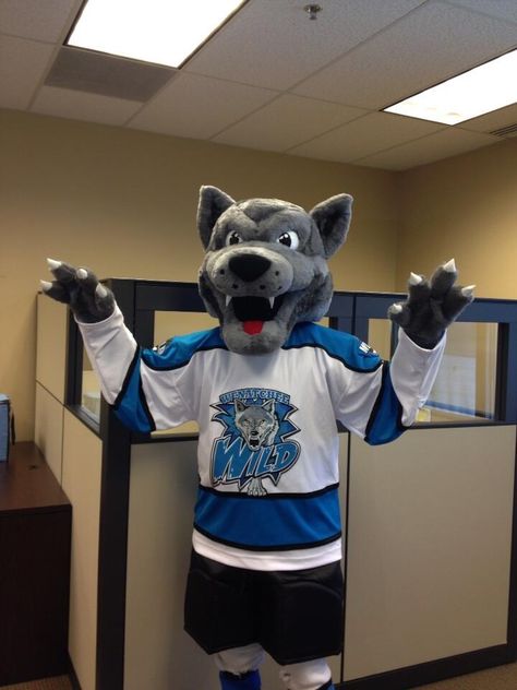 my favorite Wenatchee wild mascot WALT THE WOLF! Ware Wolf Costume, Lion Mascot Costume, Wildcat Mascot, Wolf Mascot, Mascots Costumes, Sette Nani, Arcade Game Room, Sports Advertising, Gray Wolf