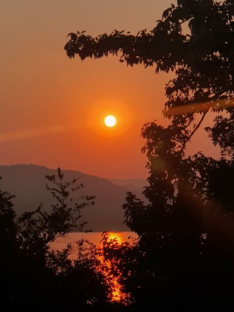 Sunset by the lakeside through the woos as a silhouette Sunset Forest Aesthetic, Cloud Bedroom, Green Academia, 2024 Moodboard, Forest Sunset, Oc Inspo, Orange Sky, Tropical Forest, Nature Photographs