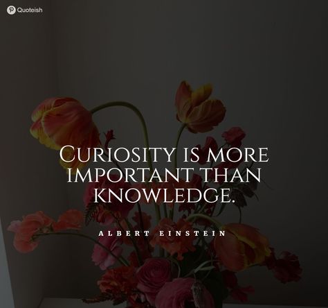 65+ Curiosity Quotes And Sayings - QUOTEISH Quotes On Curiosity, Researcher Quotes, Curiousity Quote, Curiosity Quotes Inspirational, Quotes About Curiosity, Quotes Curiosity, Samantha Quotes, Curiosity Aesthetic, Chapter Starters