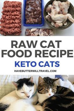 Homemade Raw Cat Food, Raw Cat Food Diet, Cat Food Recipe, Raw Cat Food, Diy Cat Food, Healthy Cat Food, Raw Cat Food Recipes, Homemade Cat Food, Cat Diet