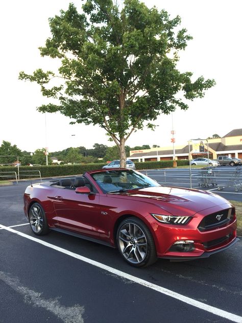 Red Convertible Mustang, Red Convertible Car, Fort Mustang, G37 Convertible, Mustang Red, Terry Thomas, 2015 Mustang Gt, Mustang Gt Convertible, Red Convertible