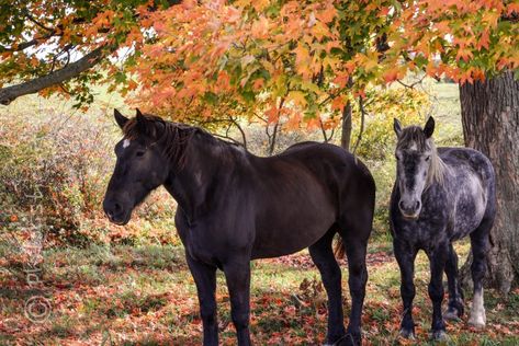 How to use your Circular Polarized Filter – PhotolisticLife Behind The Glass, Get Shot, Lets Go, Landscape Photographers, Bad Boy, Pretty Cool, Being Used, How To Use, Beautiful Colors