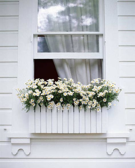 Window Box Herb Garden, Green Window Box, Wrought Iron Window Boxes, White Window Boxes, Window Box Ideas, Wooden Window Boxes, Exterior Wood Paint, Fall Window Boxes, White Flowering Plants