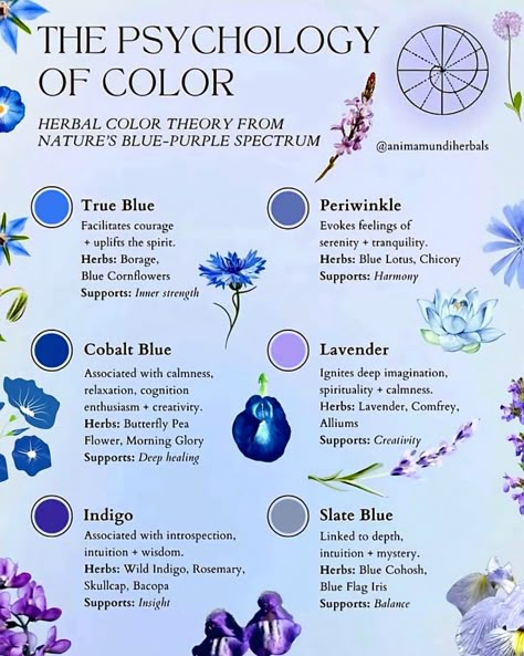 Psychology of color healing spiritual Blue Blue Color Psychology, Blue Symbolism, Organising Hacks, Healing Colors, Blue Flag Iris, Psychology Of Color, Witch Life, Spiritual Reality, Colour Psychology