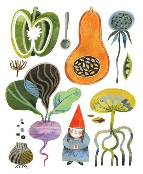 Felicita Sala Illustration, Lettuce Illustration, Gnomes Illustration, Gnome Illustration, Vegetable Illustration, High Quality Prints, Illustration Photo, Childrens Illustrations, Children's Book Illustration